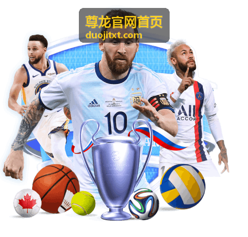 尊龙官网首页合作与支持页面，对接材料与排期说明